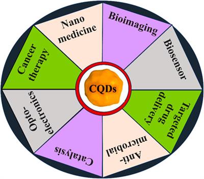 Carbon quantum dots in bioimaging and biomedicines